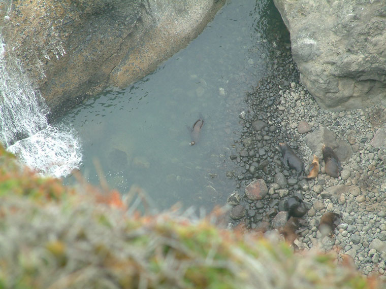 Pacific Coast Adventure 089